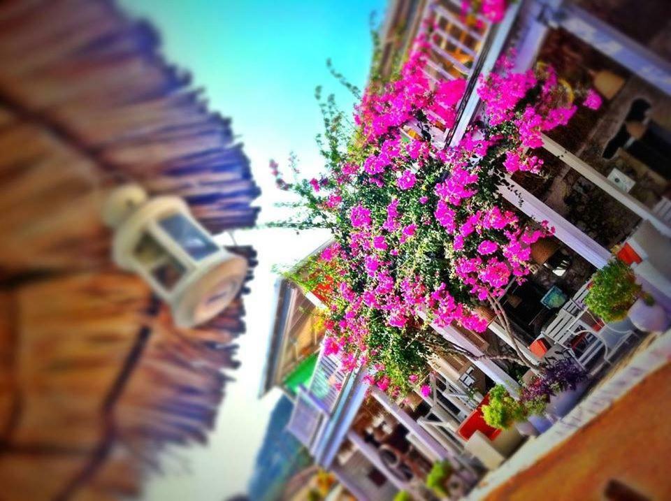 Trocolo Apartments Syvota Dış mekan fotoğraf